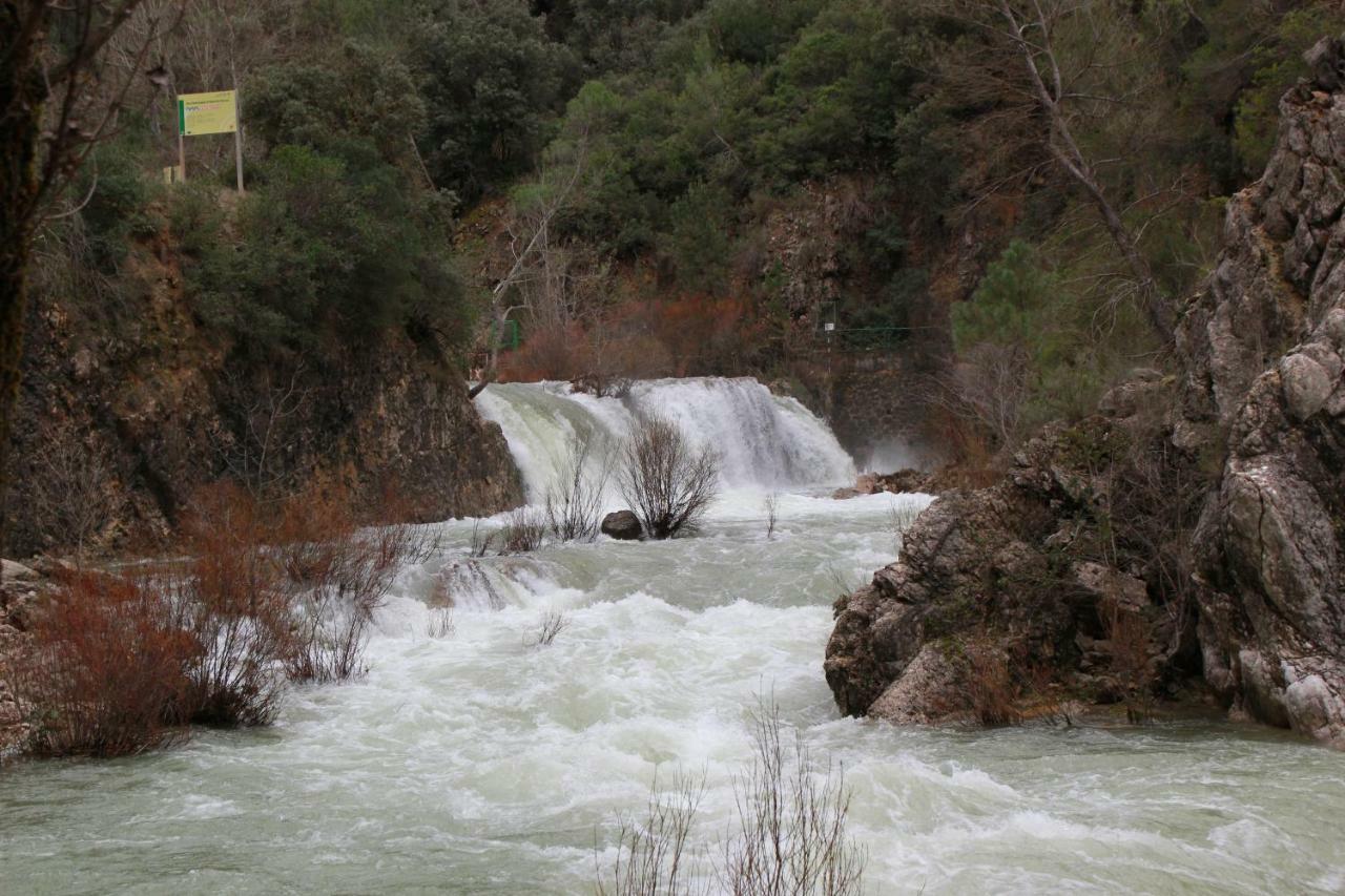 Alojamiento Aguasblanquillas Coto Ríos Esterno foto